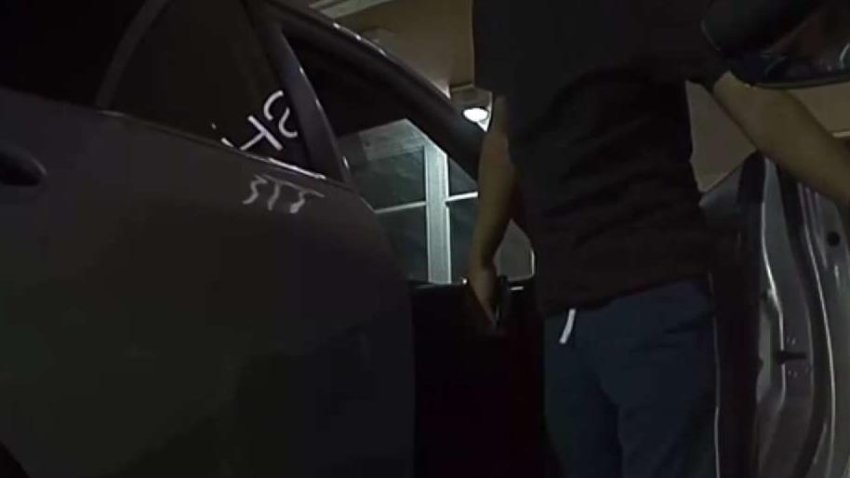 Tesla Security Camera Captures Burglary in Miami Dade