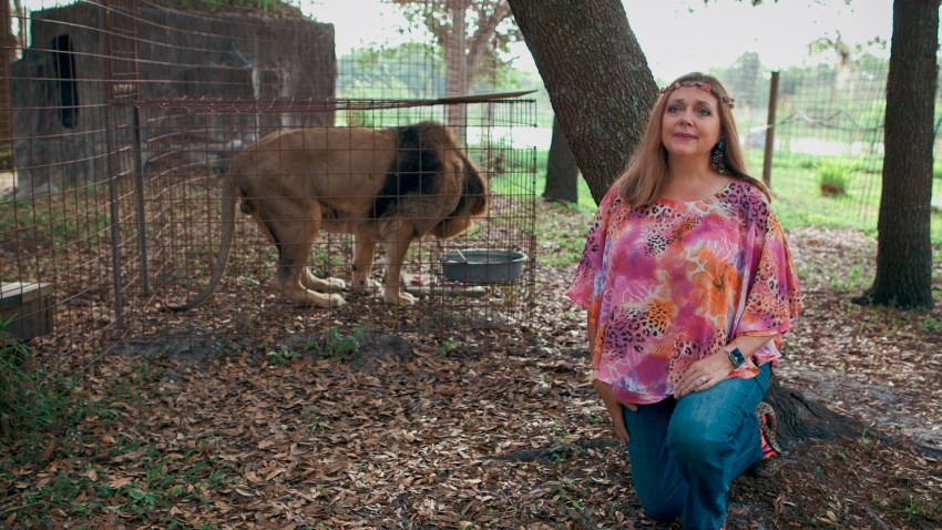 Carole Baskin Awarded 'Tiger King' Joe Exotic's Former Zoo ...