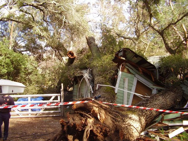 Neighbors Find Florida Toddler Wandering Alone In Street