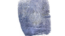 Tsarnaev finger print