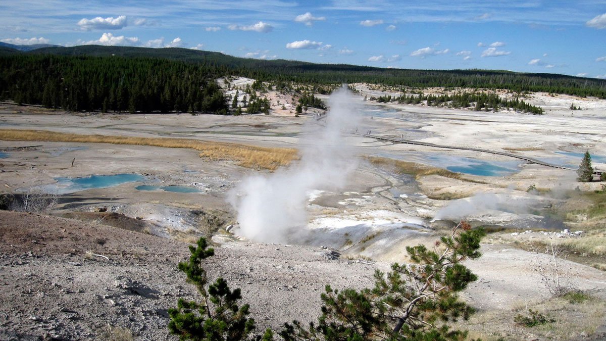 Yellowstone: Woman in Critical Condition After Trying to Save Dog From Hot Spring – NBC 6 South Florida - Vimarsana News