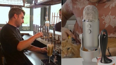 ASMR the News: Friends Stuck Quarantining in Pub