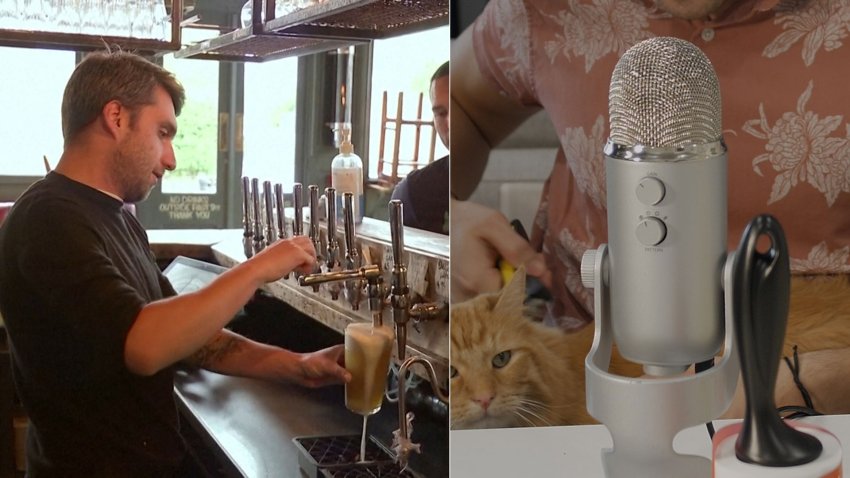 ASMR the News: Friends Stuck Quarantining in Pub