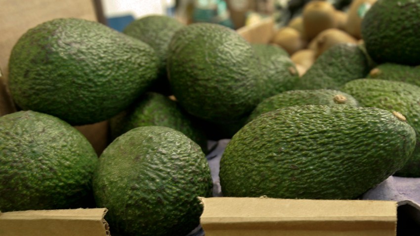 Avocado Recall