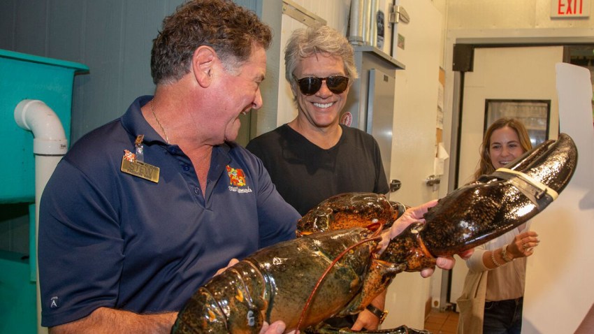 bon-jovi-lobster