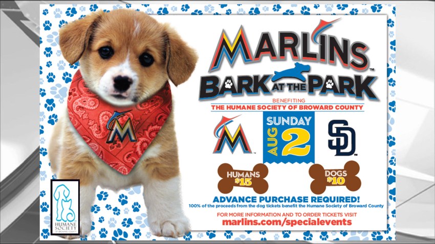 broward humane bark park 050115
