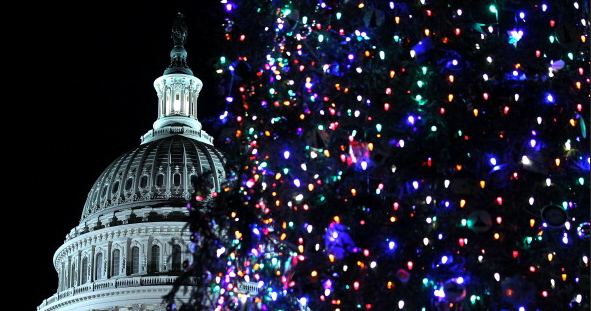 capitol_christmas_tree