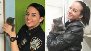 cop adopts rescued kitten