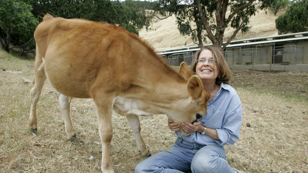 9 Animals You Didn T Know You Could Adopt Nbc 6 South Florida