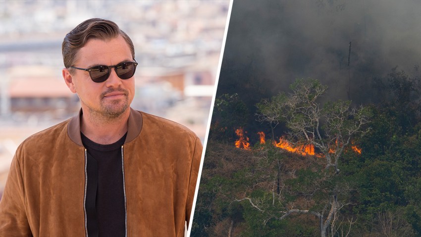 dicaprioDiptych-(1)