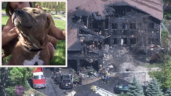 dog-saves-fire