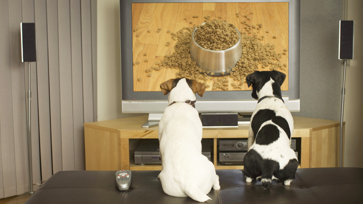 dog tv directv 2019 channel