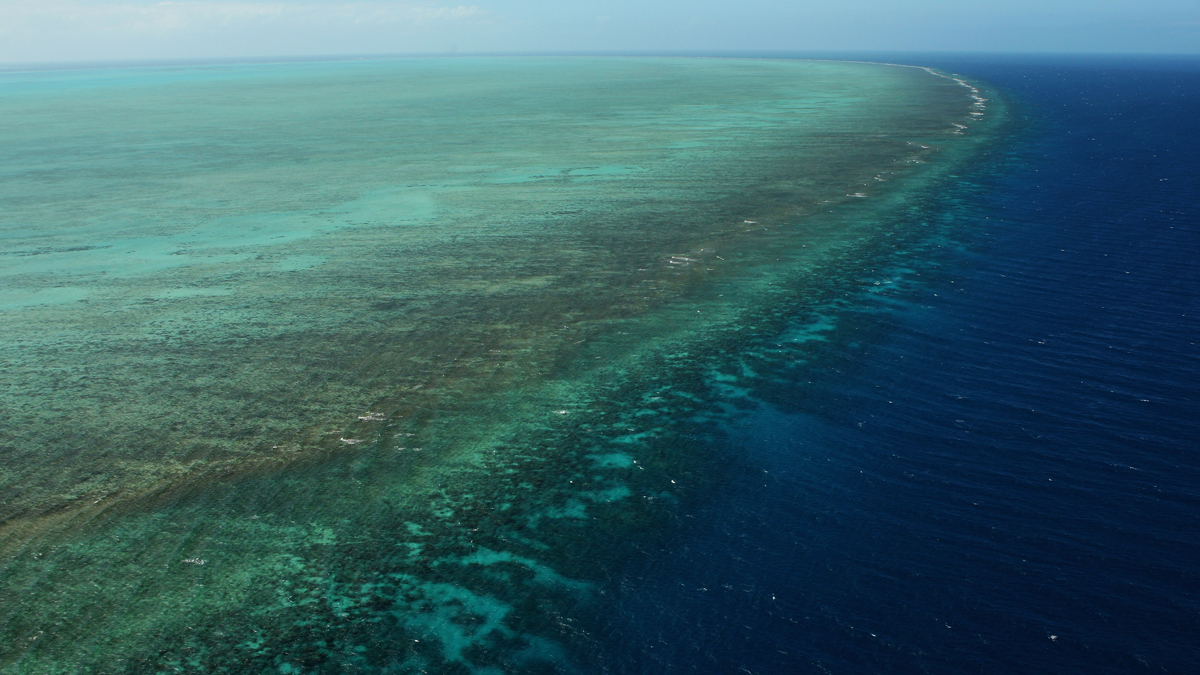 How Climate Change Impacts Australia’s Great Barrier Reef - NBC 6 South Florida