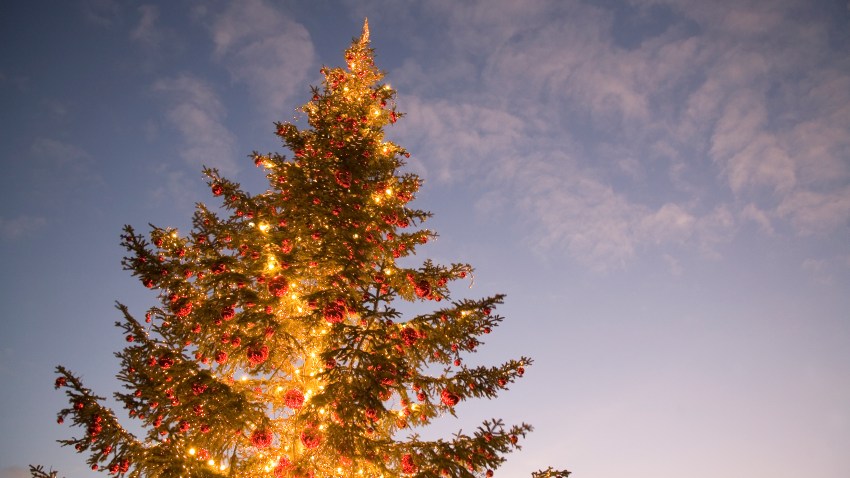 generic christmas tree lighting