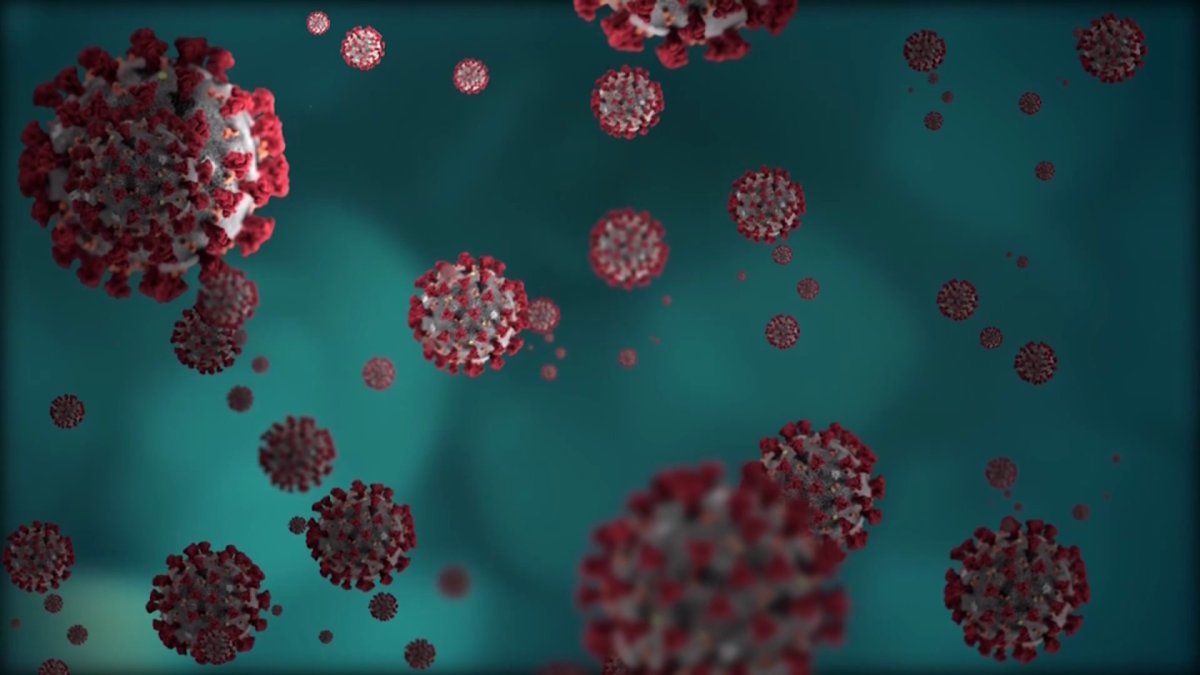 Homestead Hospital’s ICU at Capacity, Baptist Health Officials Say