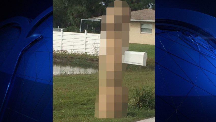 genitalia mailbox