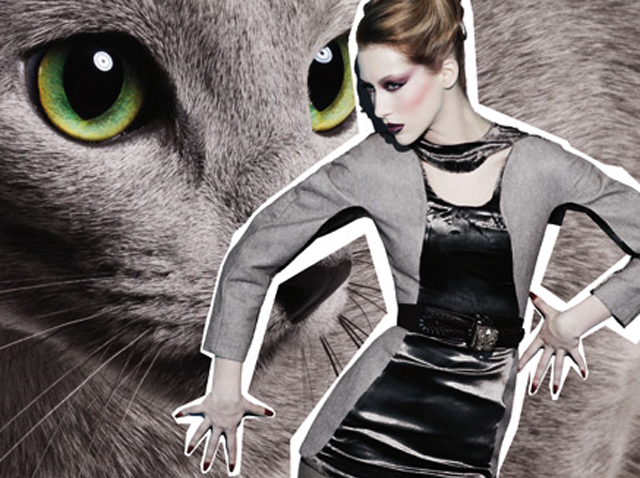 herekittykittymacfabfelines
