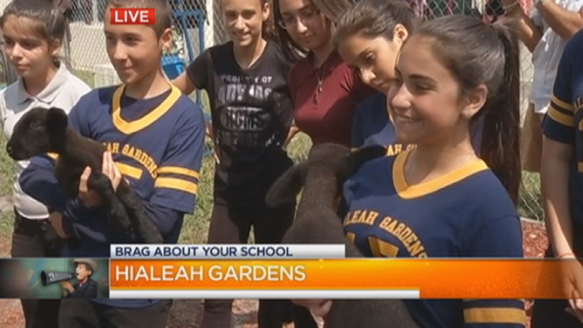 Hialeah Gardens Middle School Brag About Your School Nbc 6