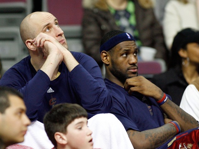 ilgauskas and lebron