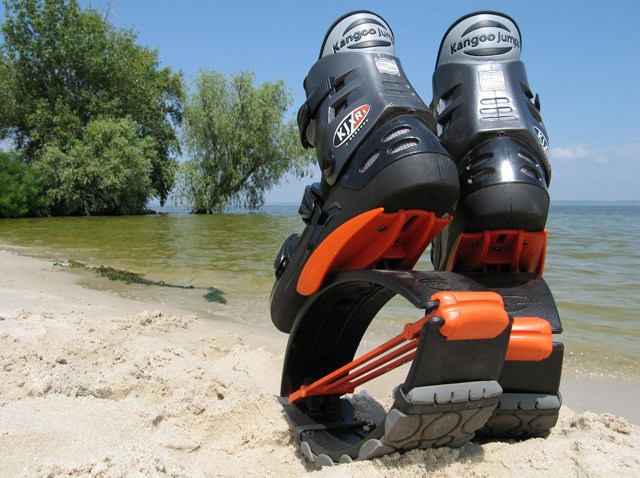 kangoo