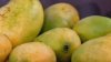 Before you pick that mango, know Miami-Dade's rules