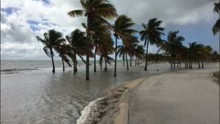 Miami Beach King Tides