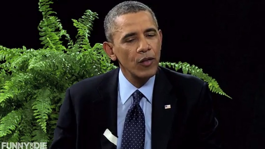 obama_ferns