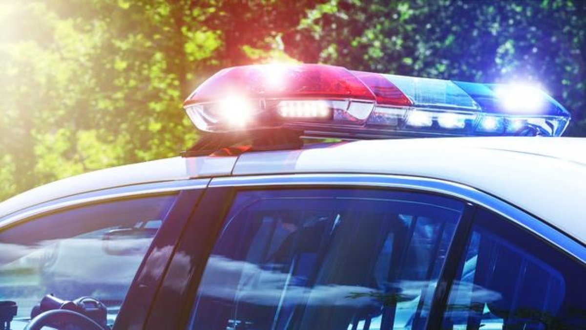 Whitney Purvis being investigated by DEA amid manslaughter arrest