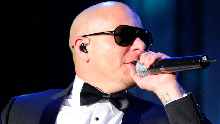 pitbull