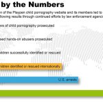 playpen by the numbers