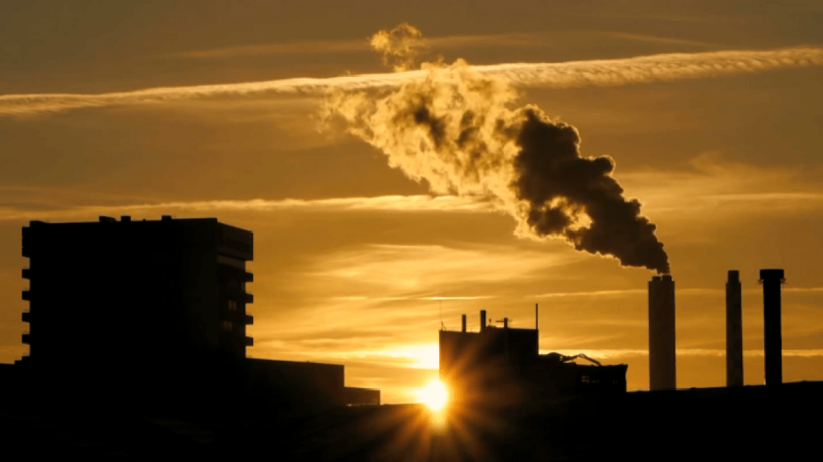 Air Pollution Linked To Greater Risk Of Dementia, Report Finds - Vimarsana News