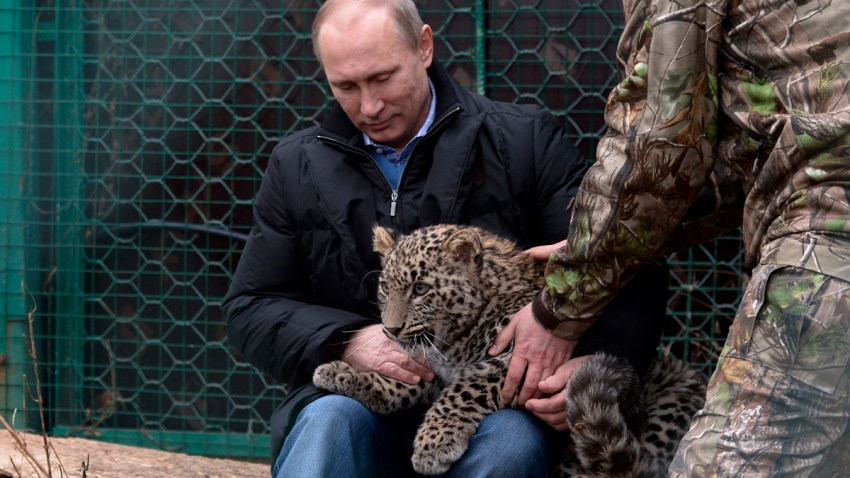 Russia Sochi Putin