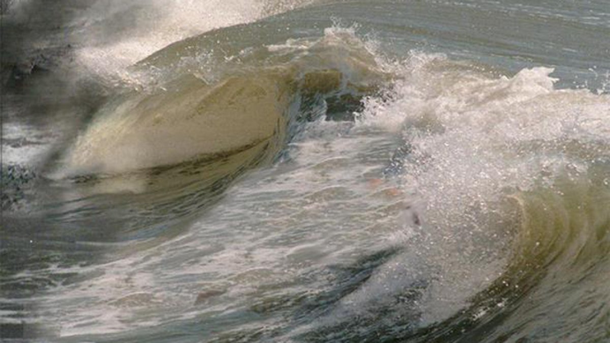 Rip currents, sargassum to hit South Florida beaches this Memorial Day weekend
