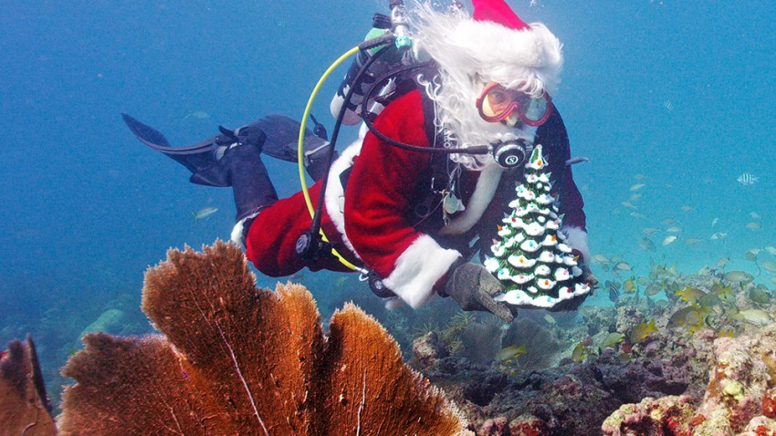scuba santa 122014