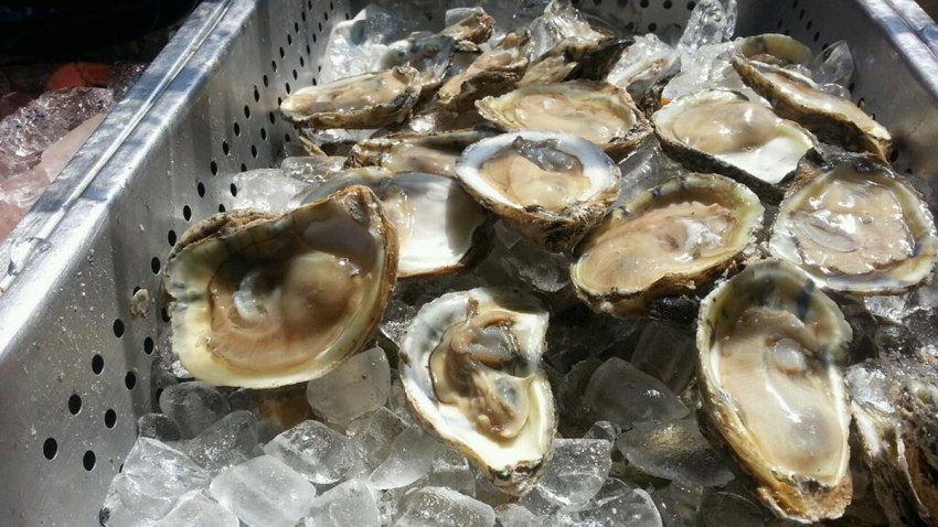 seafood fest