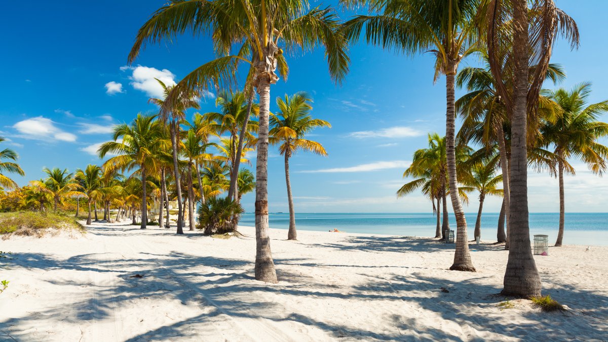 1 hospitalized after vessel losses control in Key Biscayne, fire rescue says