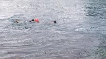 swimmers31