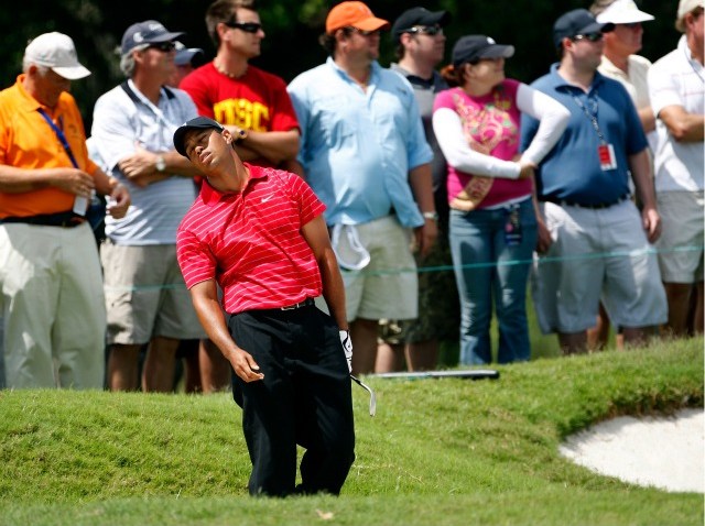 tiger at doral