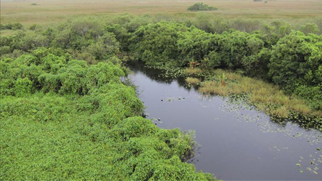 tlmd_everglades_eeuu_470_265