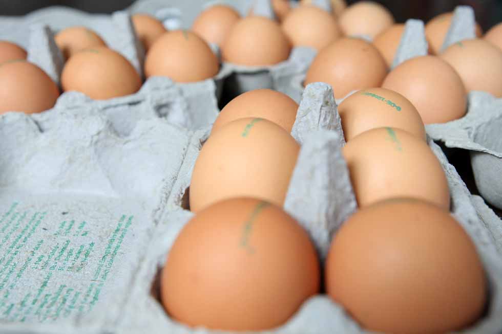 What to Know When Shopping for the Healthiest Egg NBC 6 South Florida