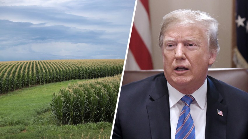 trump_farm