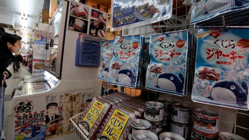 Japan Whaling