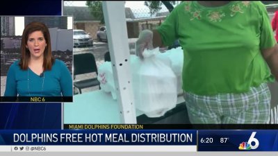 Dolphins Join in Feeding Those in Need During Pandemic