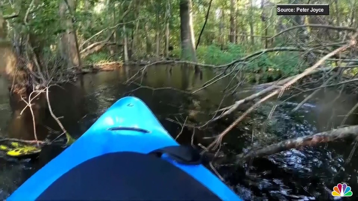 Gator Attacks Kayaker in Heart-Stopping GoPro Video – NBC 6 South Florida