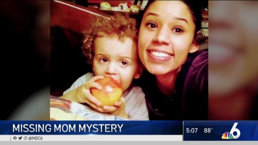 Hollywood PD Take Over Search for Missing Mom
