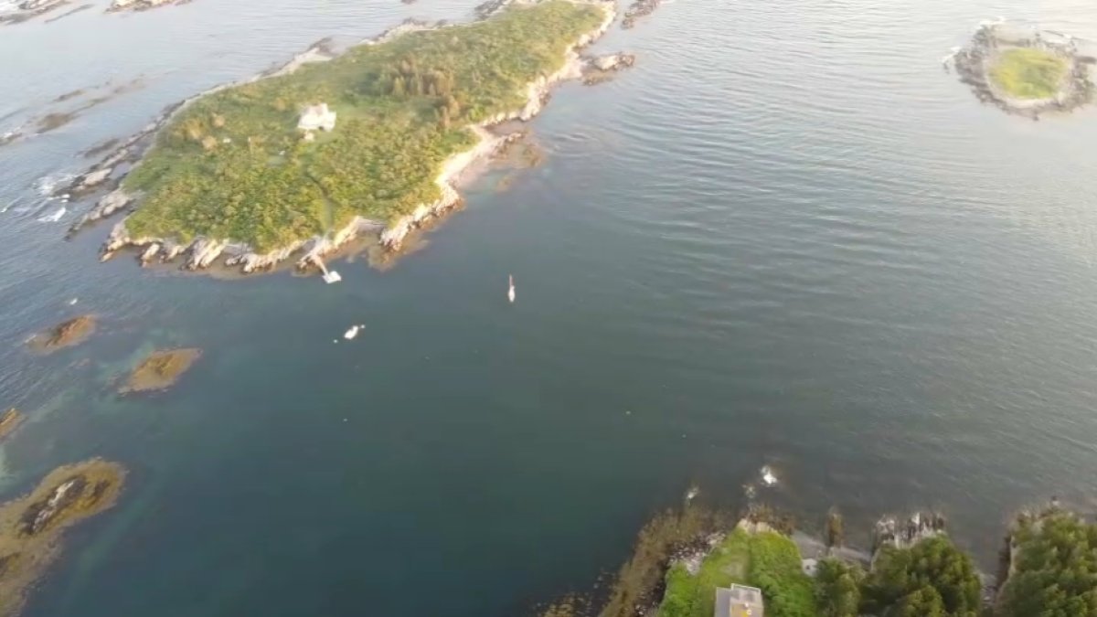 Maine Shark Attack Woman Killed by Great White in Harpswell NBC 6