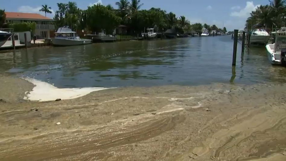 North Miami Algae Blooms Part of a ‘Vicious Cycle': Scientists - NBC 6 South Florida
