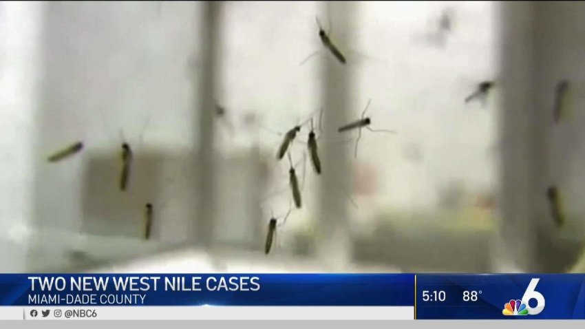 2 New West Nile Virus Cases in Miami-Dade