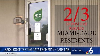Backlog of Testing Data From Miami-Dade Lab