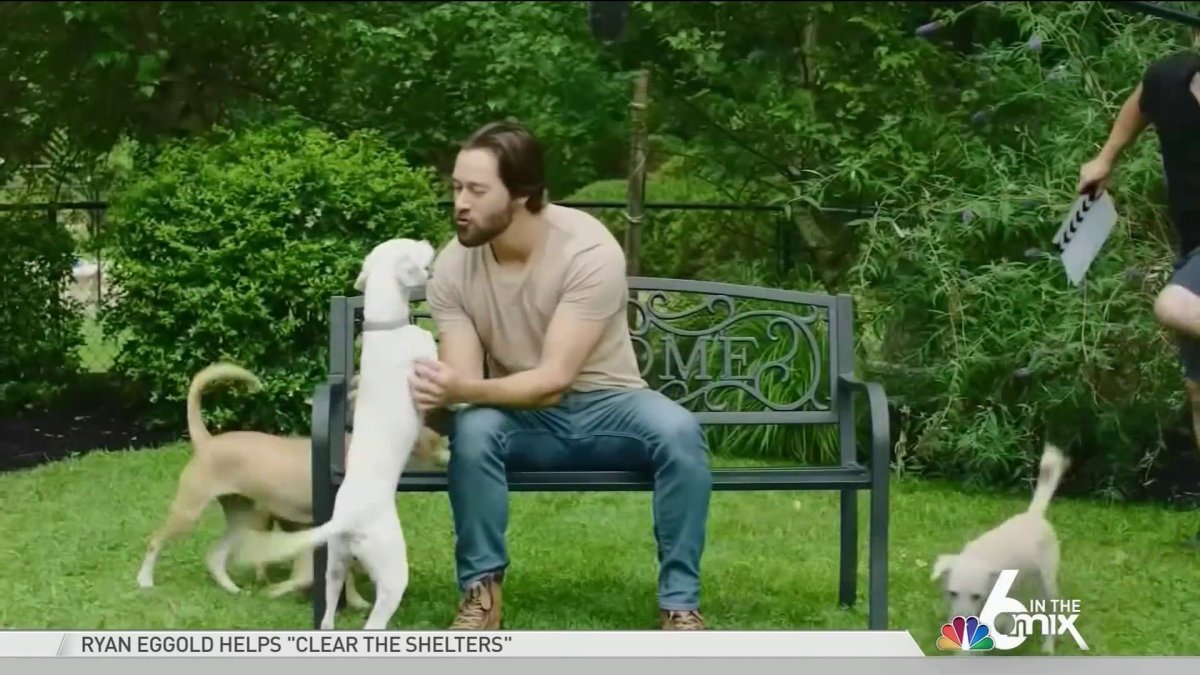 ‘New Amsterdam’ Star Ryan Eggold Helps Clear The Shelters During